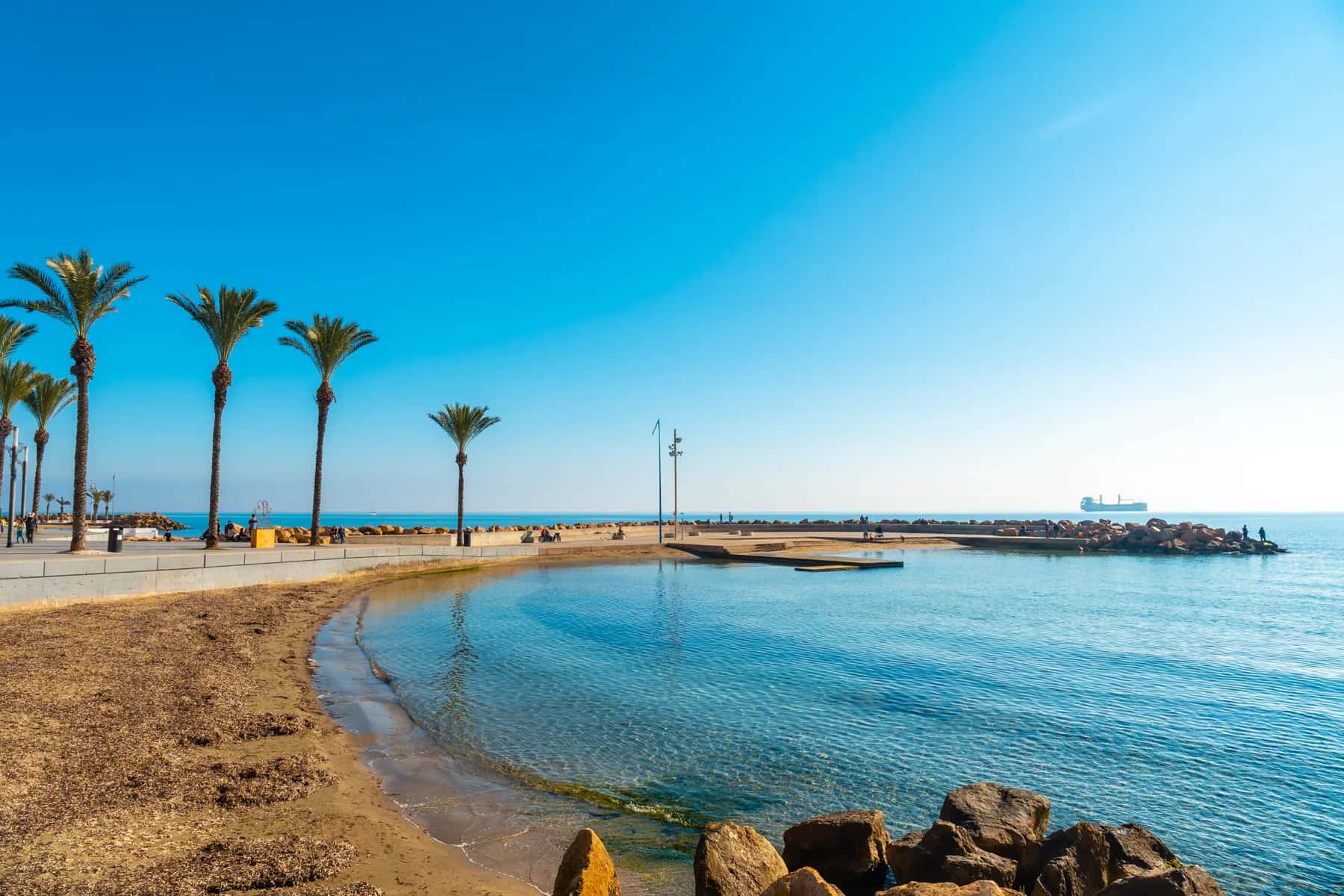 Strand met palmbomen naast Playa del Cura in Torrevieja
